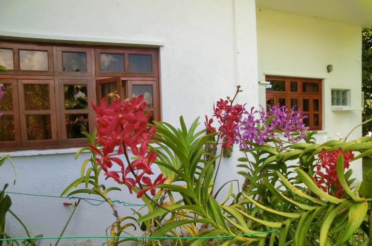 Orchid Sunset Guest House Baie Lazare  Exterior foto