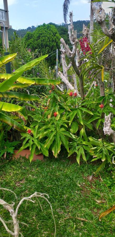 Orchid Sunset Guest House Baie Lazare  Exterior foto