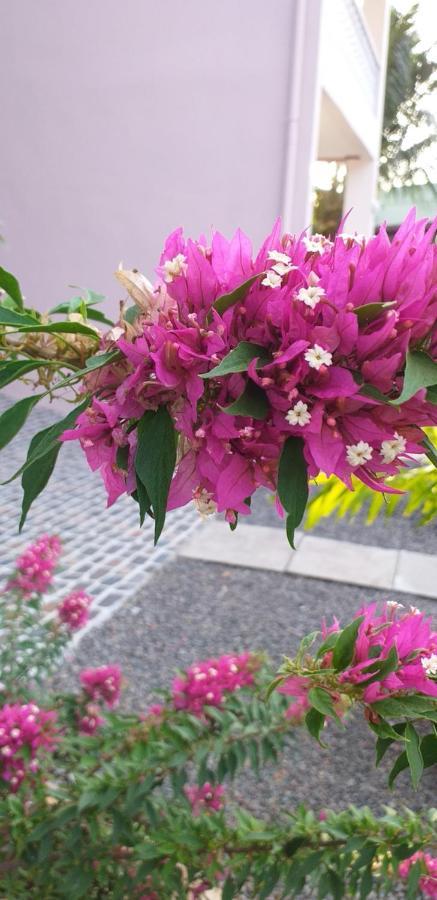 Orchid Sunset Guest House Baie Lazare  Exterior foto