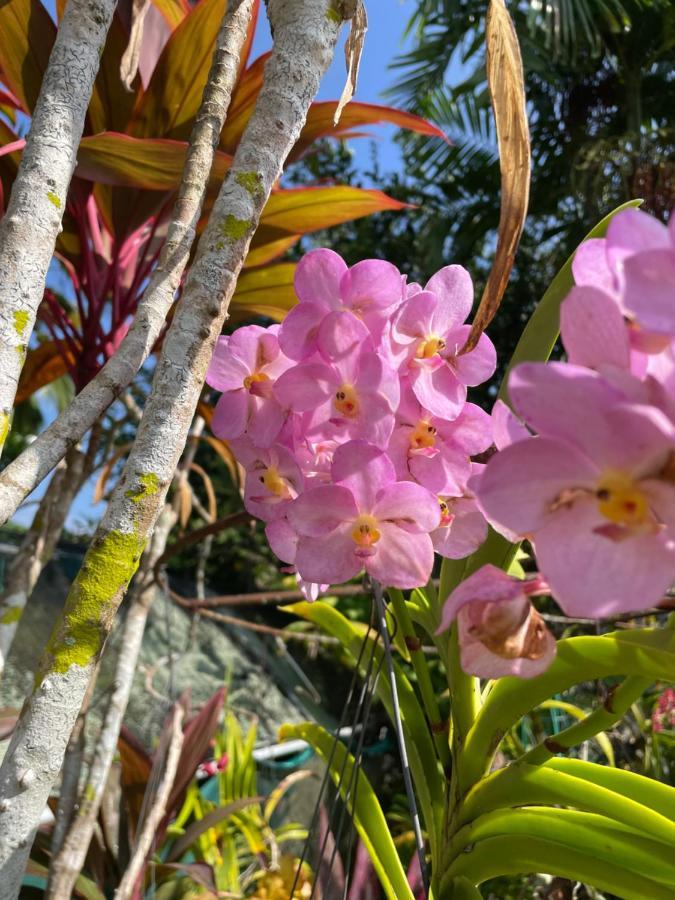 Orchid Sunset Guest House Baie Lazare  Exterior foto