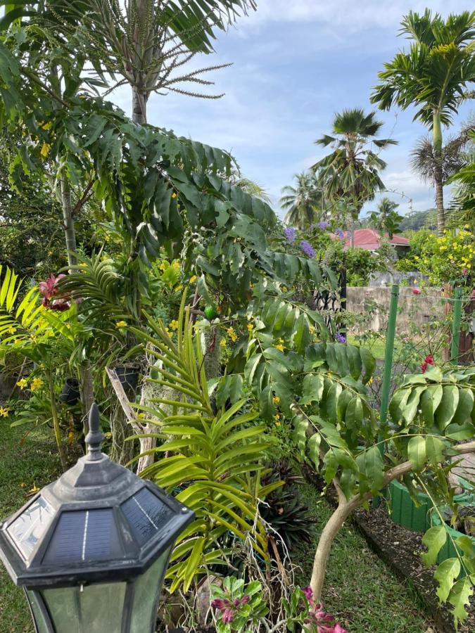 Orchid Sunset Guest House Baie Lazare  Exterior foto