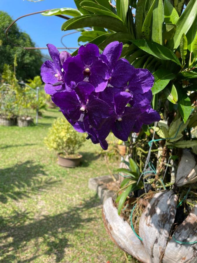 Orchid Sunset Guest House Baie Lazare  Exterior foto